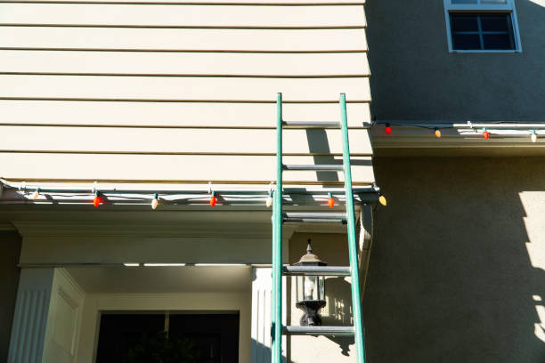 Best Custom Trim and Detailing for Siding  in Acton, CA